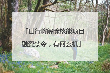世行将解除核能项目融资禁令，有何玄机