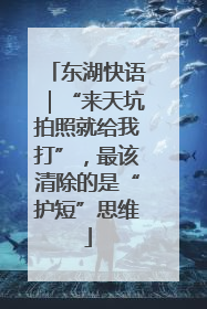 东湖快语｜“来天坑拍照就给我打”，最该清除的是“护短”思维