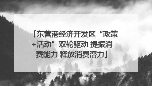 东营港经济开发区“政策+活动”双轮驱动 提振消费能力 释放消费潜力