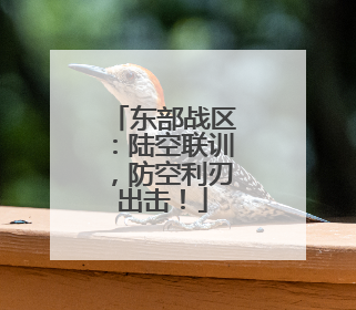 东部战区：陆空联训，防空利刃出击！