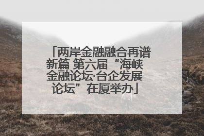 两岸金融融合再谱新篇 第六届“海峡金融论坛·台企发展论坛”在厦举办