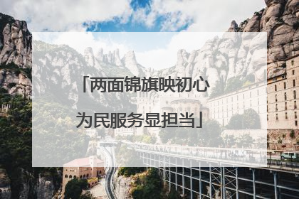 两面锦旗映初心 为民服务显担当