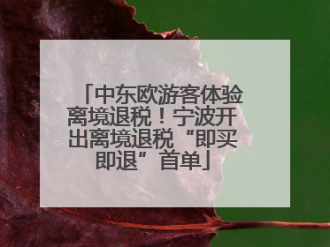 中东欧游客体验离境退税！宁波开出离境退税“即买即退”首单