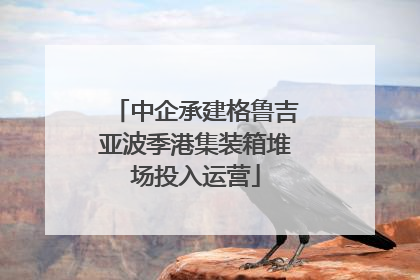 中企承建格鲁吉亚波季港集装箱堆场投入运营