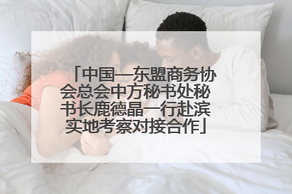 中国—东盟商务协会总会中方秘书处秘书长鹿德晶一行赴滨实地考察对接合作