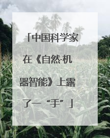 中国科学家在《自然·机器智能》上露了一“手”