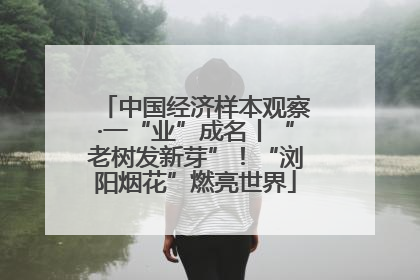 中国经济样本观察·一“业”成名丨“老树发新芽”！“浏阳烟花”燃亮世界