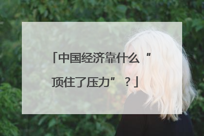 中国经济靠什么“顶住了压力”？