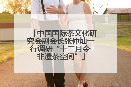 中国国际茶文化研究会副会长张仲灿一行调研“十二月令·非遗茶空间”