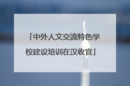中外人文交流特色学校建设培训在汉收官