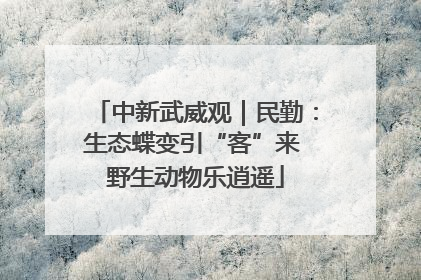 中新武威观｜民勤：生态蝶变引“客”来 野生动物乐逍遥