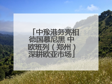 中豫港务亮相德国慕尼黑 中欧班列（郑州）深耕欧亚市场