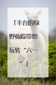 丰台的绿野仙踪带您玩转“六一”