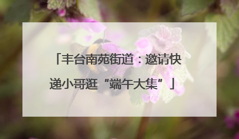 丰台南苑街道：邀请快递小哥逛“端午大集”