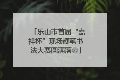 乐山市首届“嘉祥杯”现场硬笔书法大赛圆满落幕