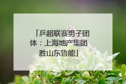 乒超联赛男子团体：上海地产集团胜山东鲁能