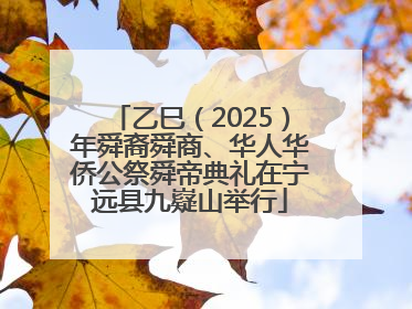 乙巳（2025）年舜裔舜商、华人华侨公祭舜帝典礼在宁远县九嶷山举行