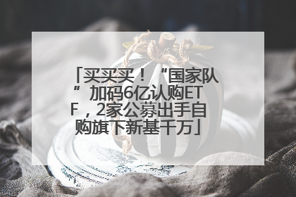 买买买！“国家队”加码6亿认购ETF，2家公募出手自购旗下新基千万