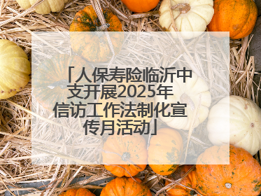 人保寿险临沂中支开展2025年信访工作法制化宣传月活动