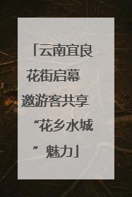 云南宜良花街启幕 邀游客共享“花乡水城”魅力