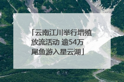 云南江川举行增殖放流活动 逾54万尾鱼游入星云湖