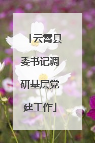 云霄县委书记调研基层党建工作
