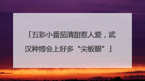 五彩小番茄清甜惹人爱，武汉种博会上好多“尖板眼”