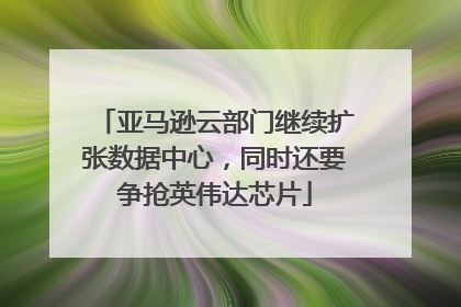 亚马逊云部门继续扩张数据中心，同时还要争抢英伟达芯片