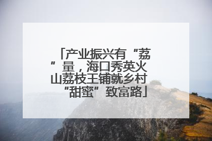 产业振兴有“荔”量，海口秀英火山荔枝王铺就乡村“甜蜜”致富路