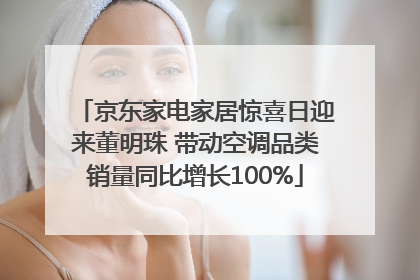 京东家电家居惊喜日迎来董明珠 带动空调品类销量同比增长100%