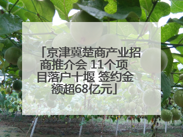 京津冀楚商产业招商推介会 11个项目落户十堰 签约金额超68亿元