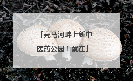 亮马河畔上新中医药公园！就在