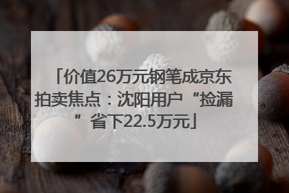 价值26万元钢笔成京东拍卖焦点：沈阳用户“捡漏”省下22.5万元