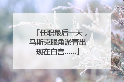 任职最后一天，马斯克眼角淤青出现在白宫……