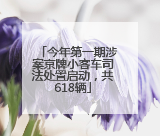 今年第一期涉案京牌小客车司法处置启动，共618辆