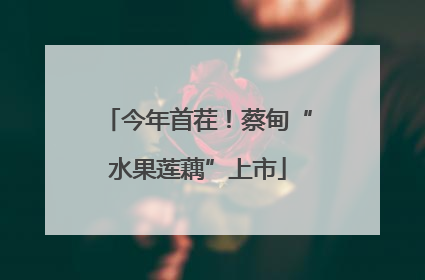 今年首茬！蔡甸“水果莲藕”上市