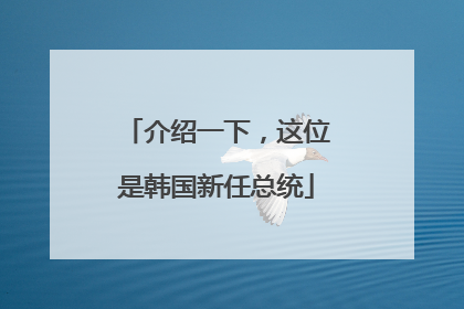介绍一下，这位是韩国新任总统