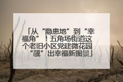 从“隐患地”到“幸福角”！五角场街道这个老旧小区党建微花园“靓”出幸福新图景