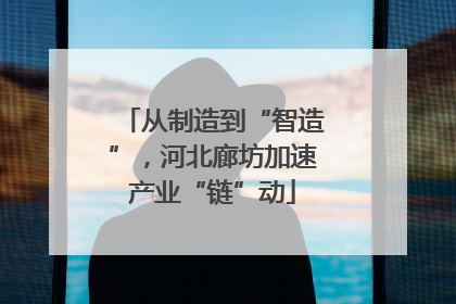 从制造到“智造”，河北廊坊加速产业“链”动