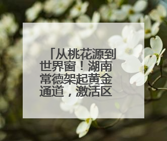 从桃花源到世界窗！湖南常德架起黄金通道，激活区域经济“一池春水”