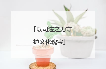 以司法之力守护文化瑰宝