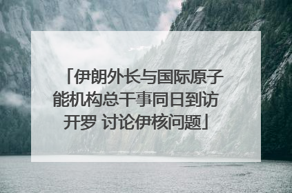 伊朗外长与国际原子能机构总干事同日到访开罗 讨论伊核问题