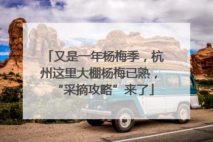 又是一年杨梅季，杭州这里大棚杨梅已熟，“采摘攻略”来了