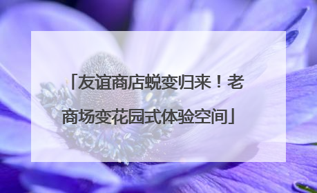 友谊商店蜕变归来！老商场变花园式体验空间