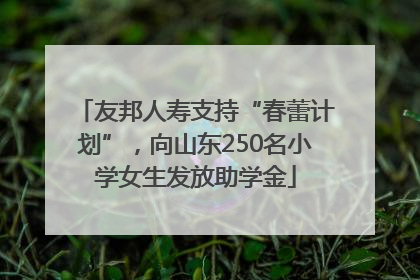 友邦人寿支持“春蕾计划”，向山东250名小学女生发放助学金