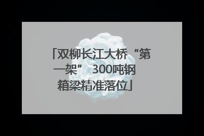 双柳长江大桥“第一架” 300吨钢箱梁精准落位