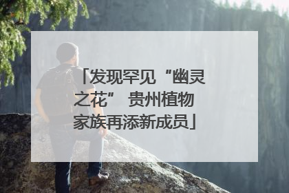 发现罕见“幽灵之花” 贵州植物家族再添新成员