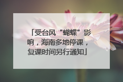 受台风“蝴蝶”影响，海南多地停课，复课时间另行通知
