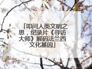 叩问人类文明之思，纪录片《寻访大师》解码法兰西文化基因