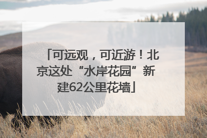 可远观，可近游！北京这处“水岸花园”新建62公里花墙